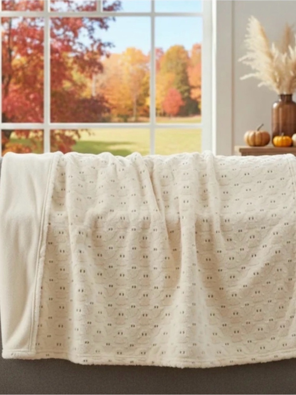 Costco Faux Fur Ghost Embroidered Halloween Fall
Throw Blanket New Viral - Picture 6 of 8